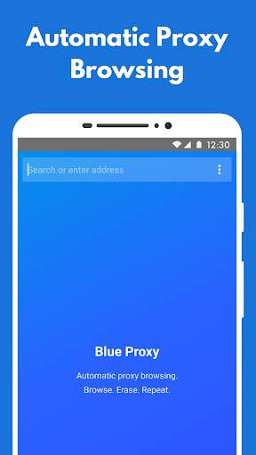 Screenshot From Our Blue Proxy: proxy browser VPN Review