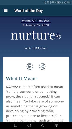 Screenshot From Our Dictionary - Merriam-Webster Review