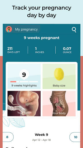 Screenshot From Our Pregnancy App & Baby Tracker Review
