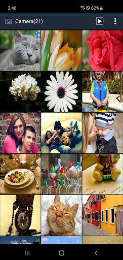 Screenshot From Our Secure Gallery (Lock/Hide Pict Review