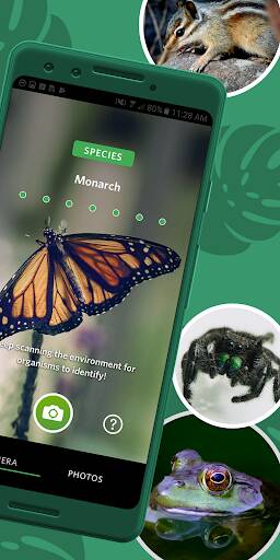 Screenshot From Our Seek by iNaturalist Review
