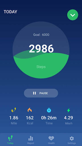 Screenshot From Our Step Counter - Pedometer Review