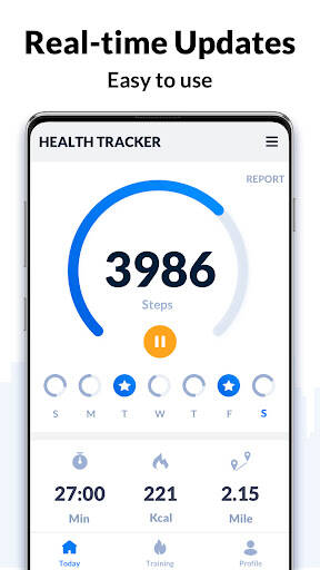 Screenshot From Our Step Tracker - Pedometer Review