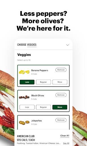 Screenshot From Our Subway® Review