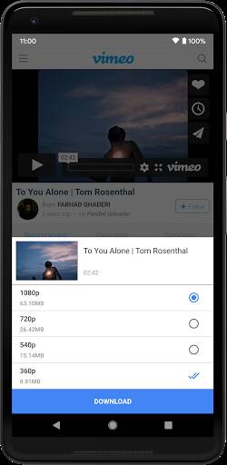 Screenshot From Our Video Downloader - Save Video Review