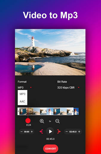 Screenshot From Our Video to MP3 Converter Review